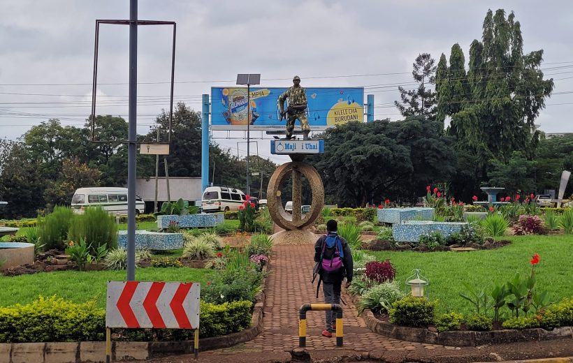 Moshi Town Walking Day Tour