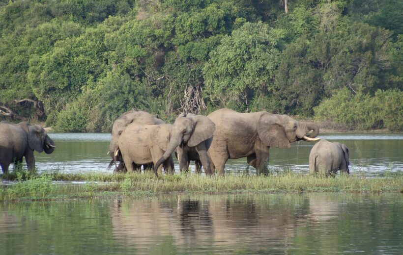6 Days Tanzania Tours Adventures